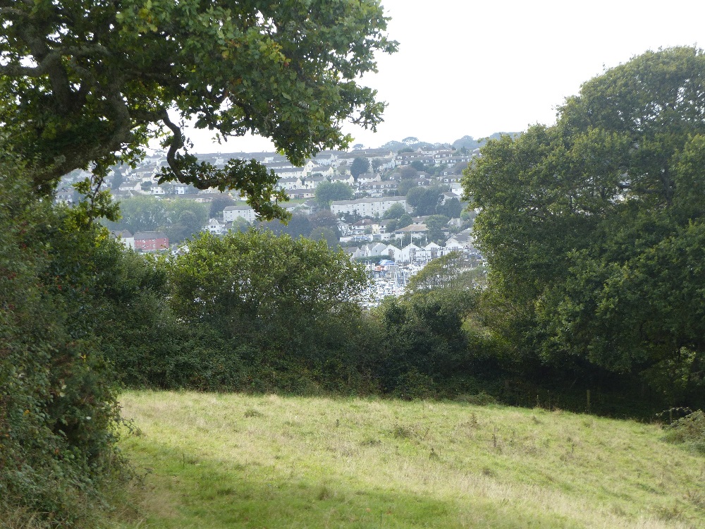 Grassy field and hedges overlooking the town